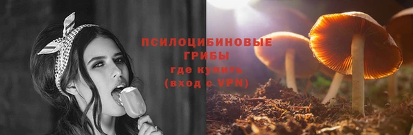 винт Алексин