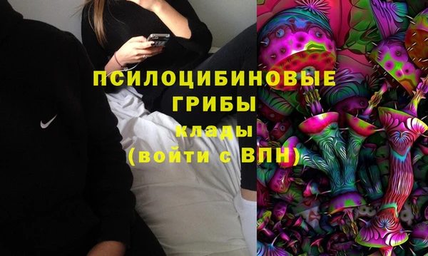 скорость Алзамай