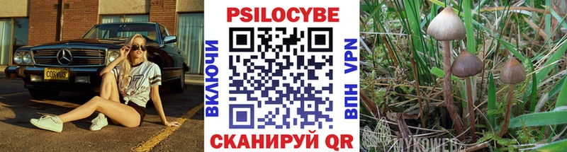 маркетплейс как зайти  Анадырь  Псилоцибиновые грибы прущие грибы 